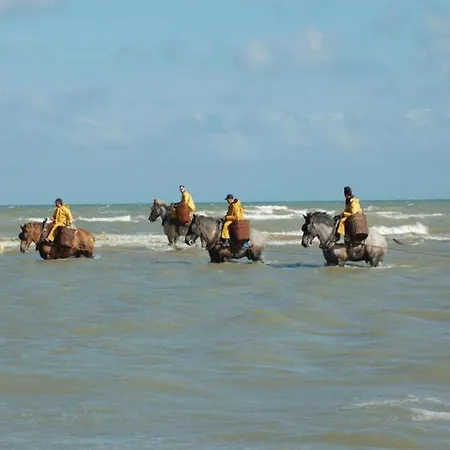 On Sea With Stunning Views, Cleaning Included