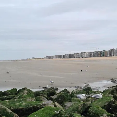 Apartmán On Sea With Stunning Views, Cleaning Included Koksijde