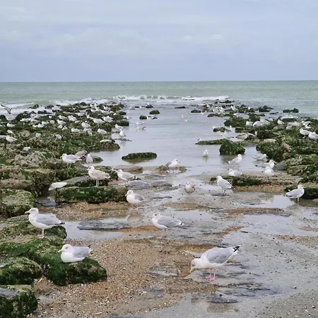 On Sea With Stunning Views, Cleaning Included