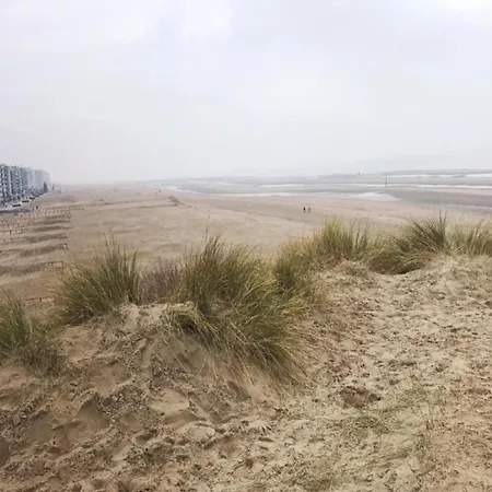 아파트 On Sea With Stunning Views, Cleaning Included *
