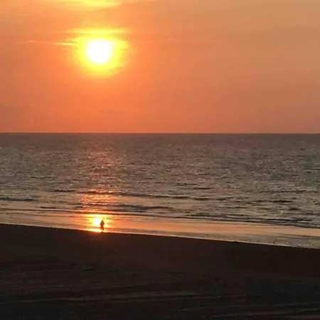 On Sea With Stunning Views, Cleaning Included * Koksijde