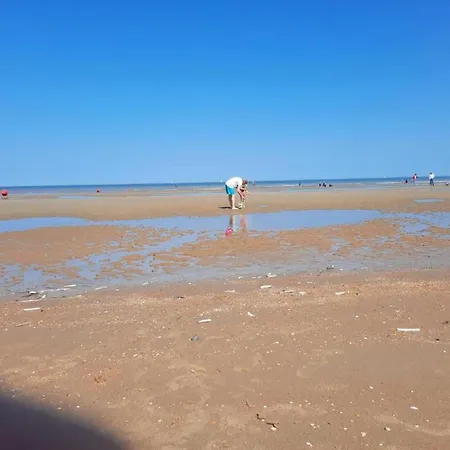 On Sea With Stunning Views, Cleaning Included 아파트 *
